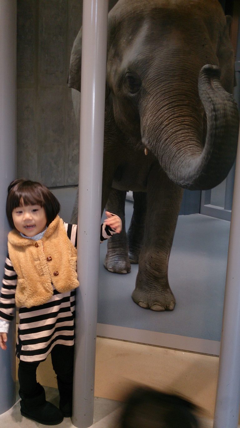 東山動植物園へ行ってきました